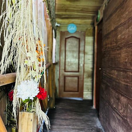 Palmario Hostal Guachaca Ngoại thất bức ảnh