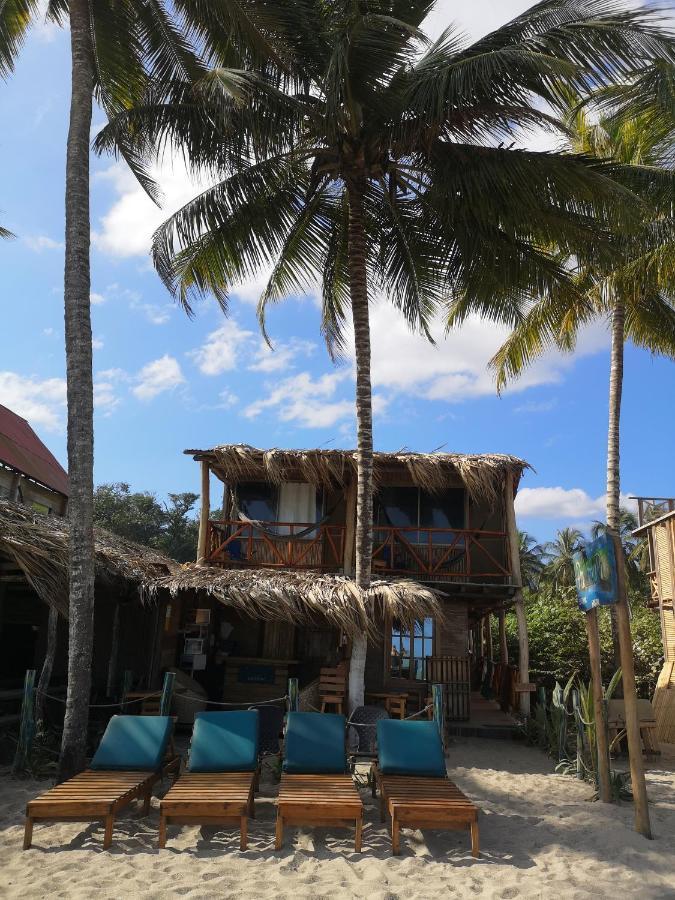 Palmario Hostal Guachaca Ngoại thất bức ảnh