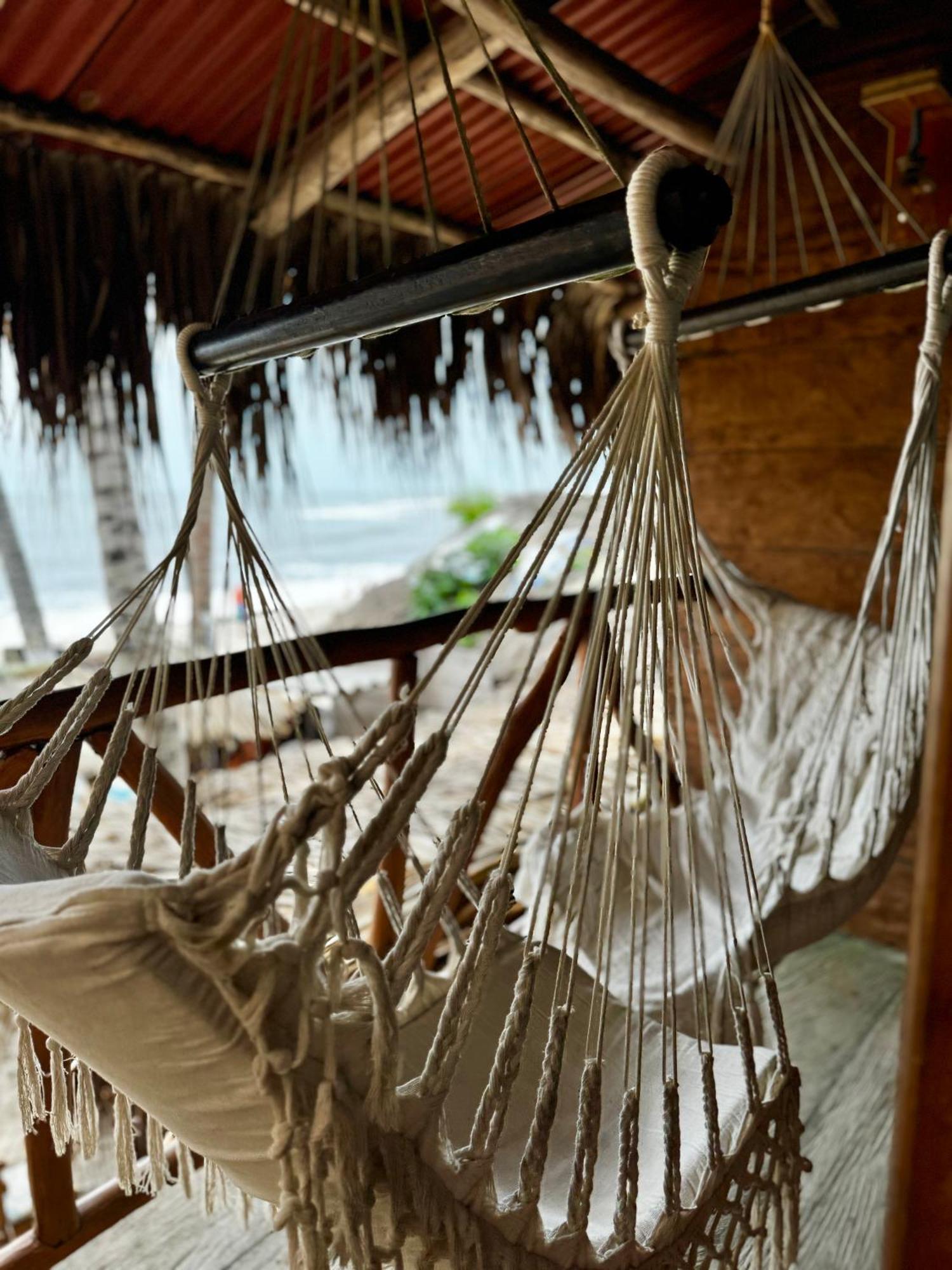 Palmario Hostal Guachaca Ngoại thất bức ảnh